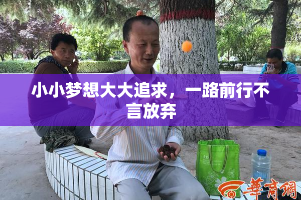 小小梦想大大追求，一路前行不言放弃
