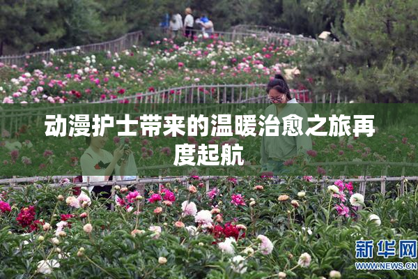 动漫护士带来的温暖治愈之旅再度起航