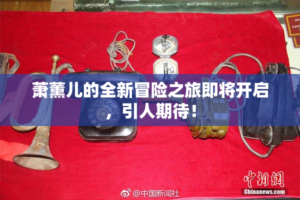 萧薰儿的全新冒险之旅即将开启，引人期待！