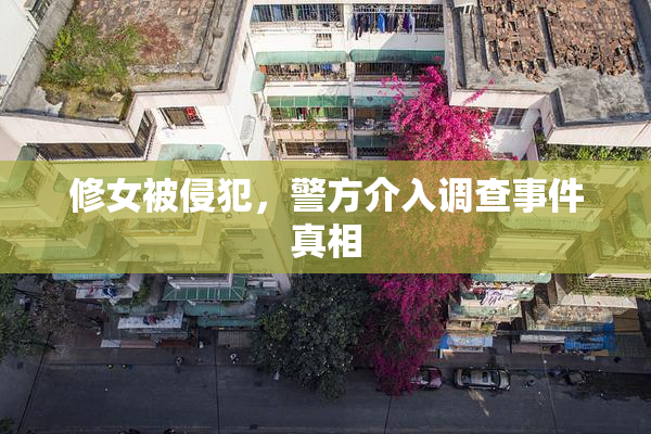修女被侵犯，警方介入调查事件真相