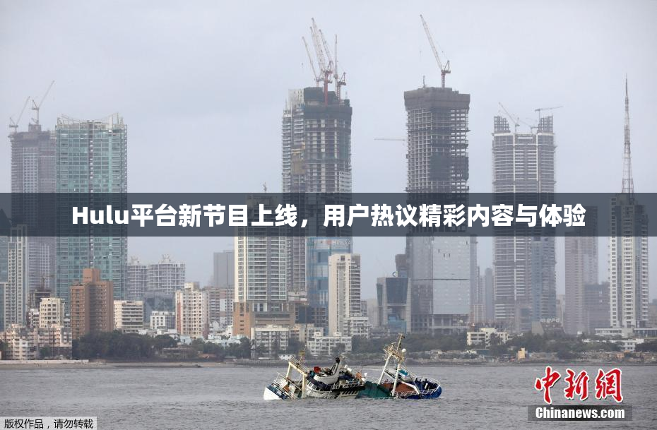 Hulu平台新节目上线，用户热议精彩内容与体验