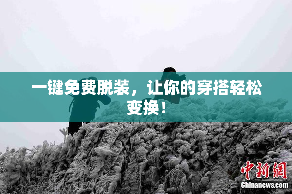 一键免费脱装，让你的穿搭轻松变换！