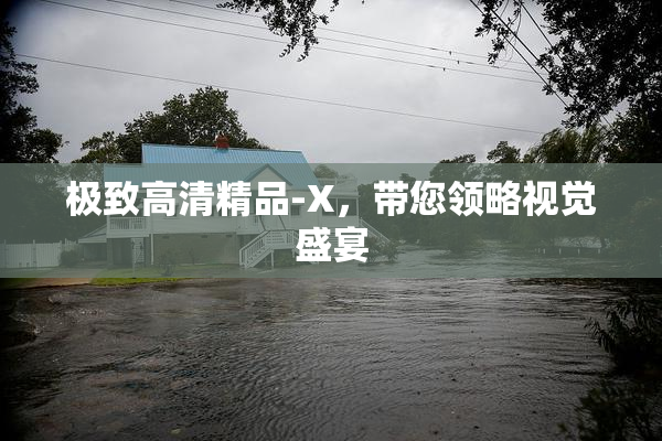 极致高清精品-X，带您领略视觉盛宴
