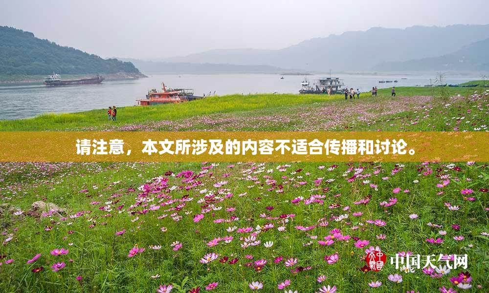 请注意，本文所涉及的内容不适合传播和讨论。
