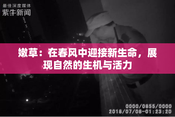 嫩草：在春风中迎接新生命，展现自然的生机与活力