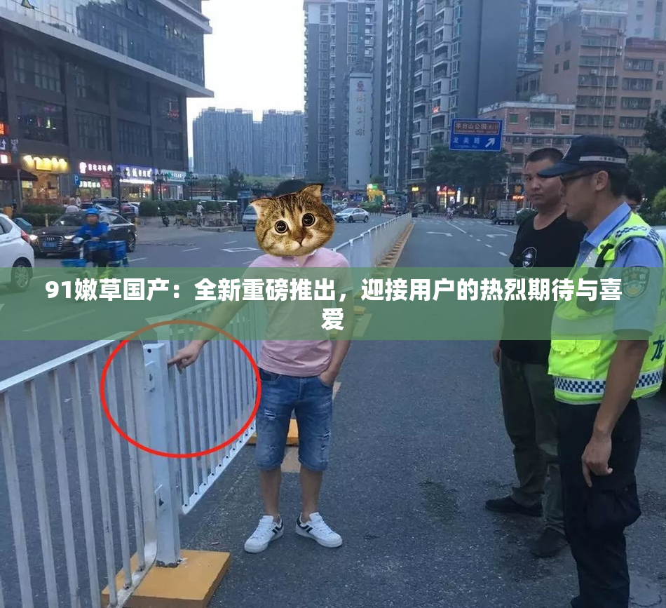 91嫩草国产：全新重磅推出，迎接用户的热烈期待与喜爱