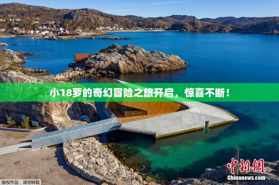 小18萝的奇幻冒险之旅开启，惊喜不断！