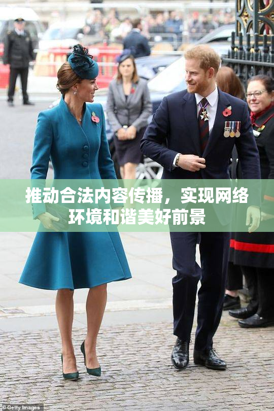 推动合法内容传播，实现网络环境和谐美好前景
