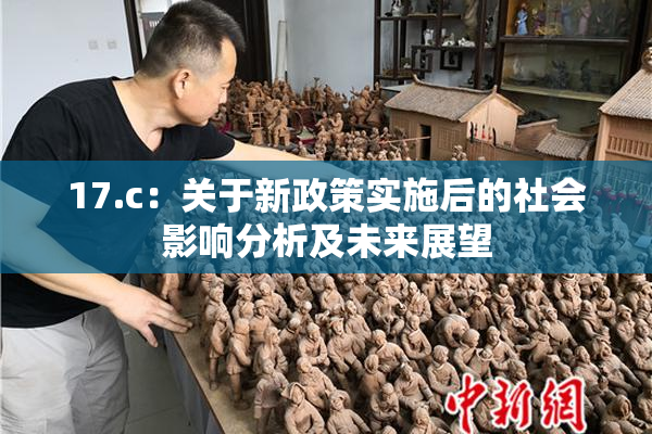 17.c：关于新政策实施后的社会影响分析及未来展望