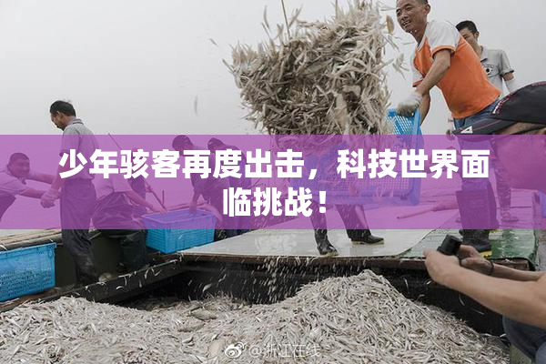 少年骇客再度出击，科技世界面临挑战！