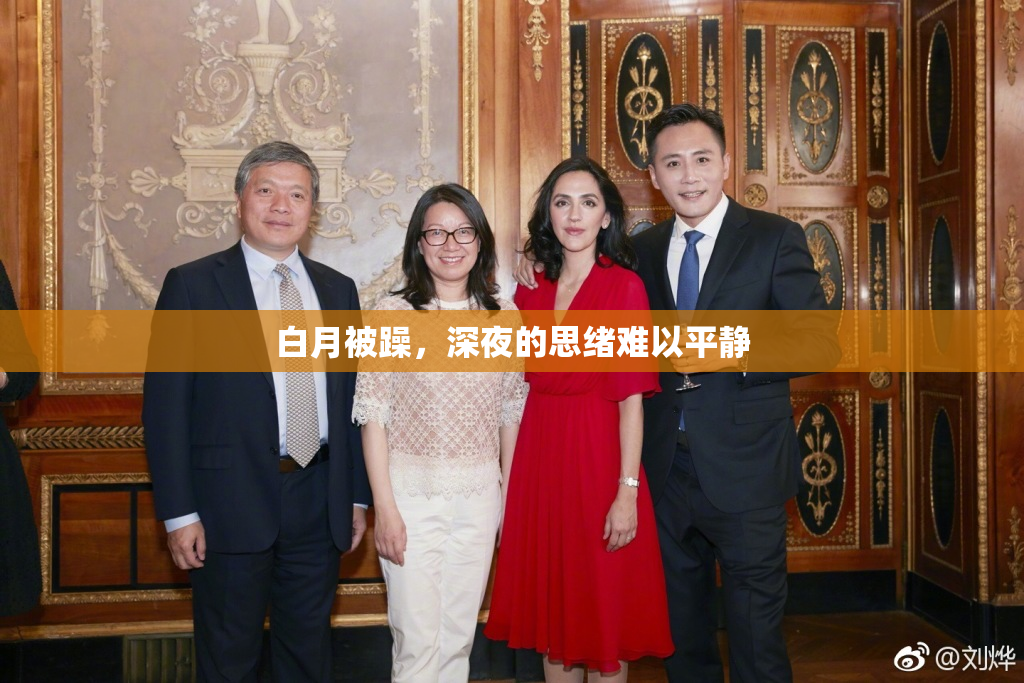 白月被躁，深夜的思绪难以平静