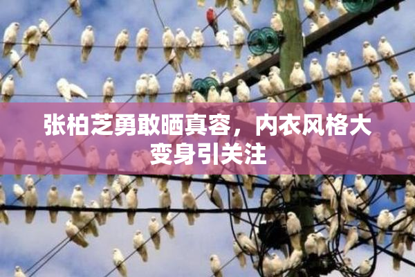 张柏芝勇敢晒真容，内衣风格大变身引关注