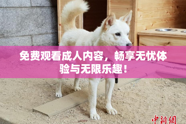 免费观看成人内容，畅享无忧体验与无限乐趣！