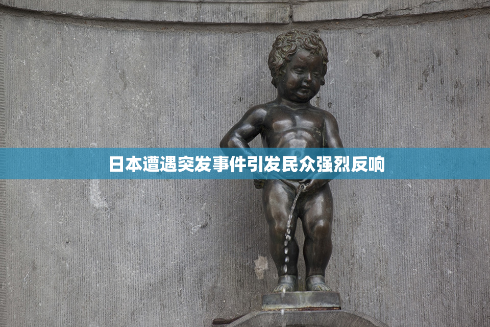 日本遭遇突发事件引发民众强烈反响