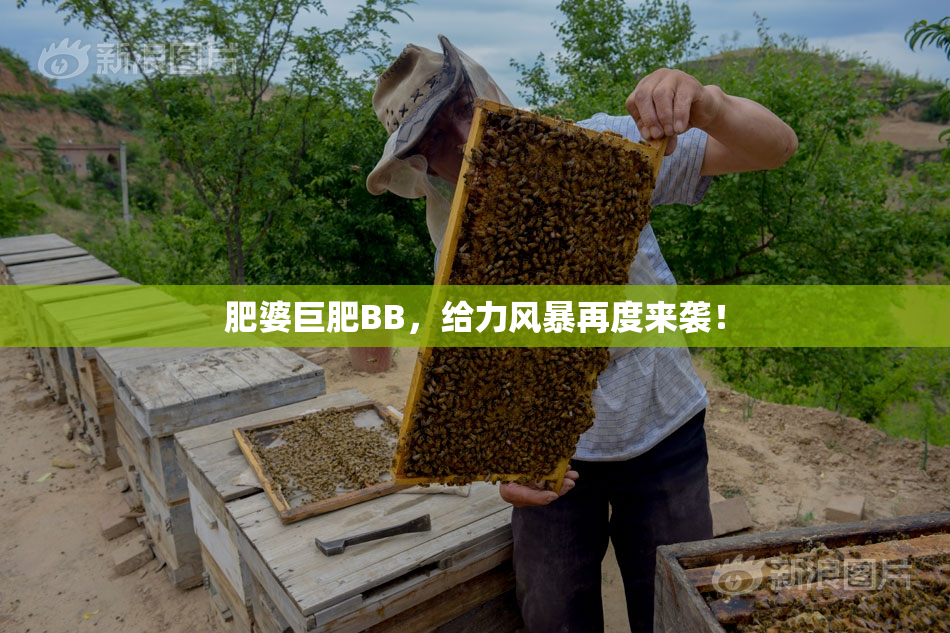 肥婆巨肥BB，给力风暴再度来袭！
