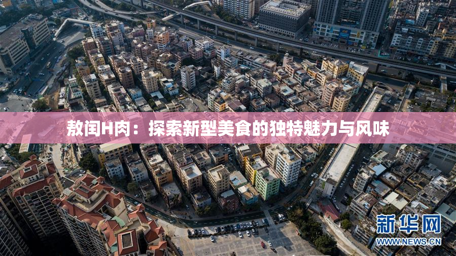 敖闰H肉：探索新型美食的独特魅力与风味