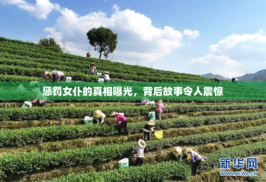 惩罚女仆的真相曝光，背后故事令人震惊