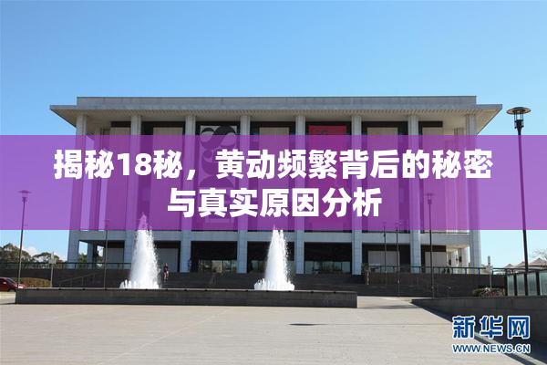 揭秘18秘，黄动频繁背后的秘密与真实原因分析