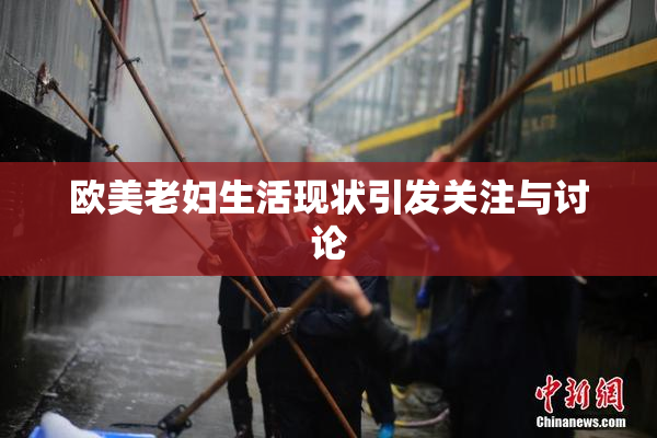欧美老妇生活现状引发关注与讨论