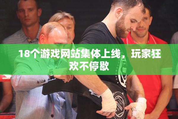 18个游戏网站集体上线，玩家狂欢不停歇