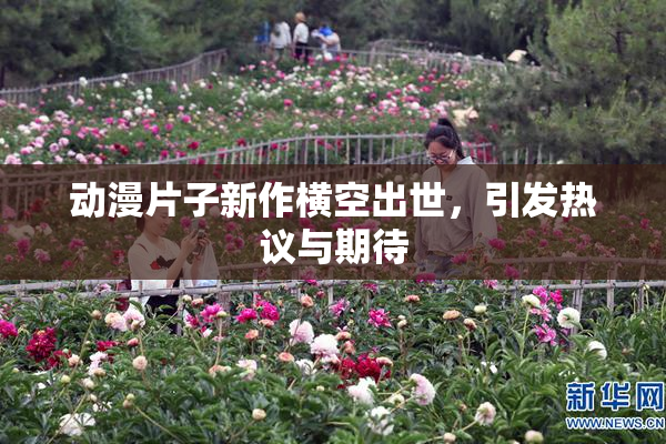 动漫片子新作横空出世，引发热议与期待