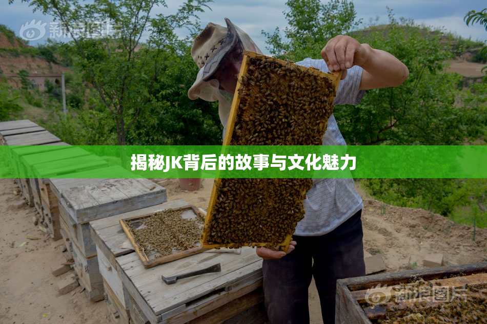 揭秘JK背后的故事与文化魅力