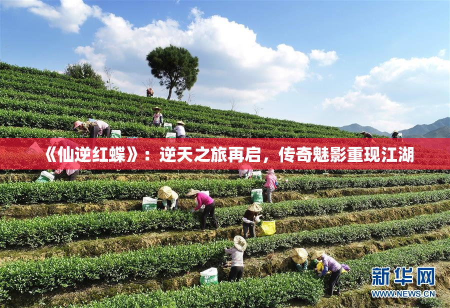 《仙逆红蝶》：逆天之旅再启，传奇魅影重现江湖