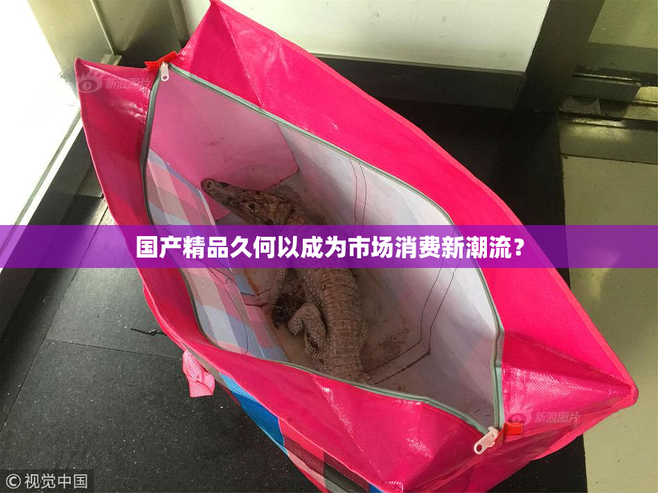 国产精品久何以成为市场消费新潮流？