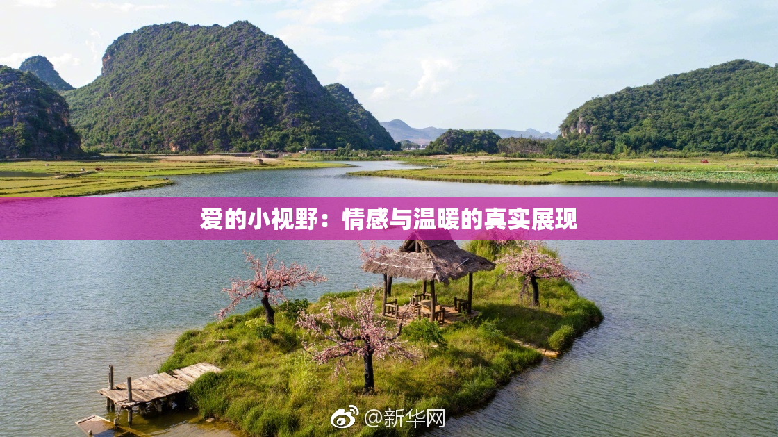 爱的小视野：情感与温暖的真实展现
