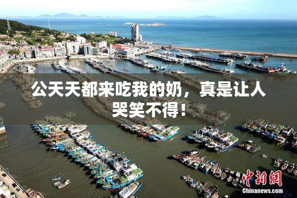 公天天都来吃我的奶，真是让人哭笑不得！