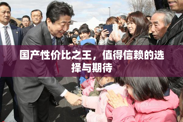 国产性价比之王，值得信赖的选择与期待