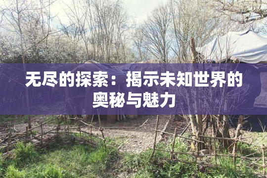 无尽的探索：揭示未知世界的奥秘与魅力