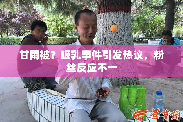 甘雨被？吸乳事件引发热议，粉丝反应不一