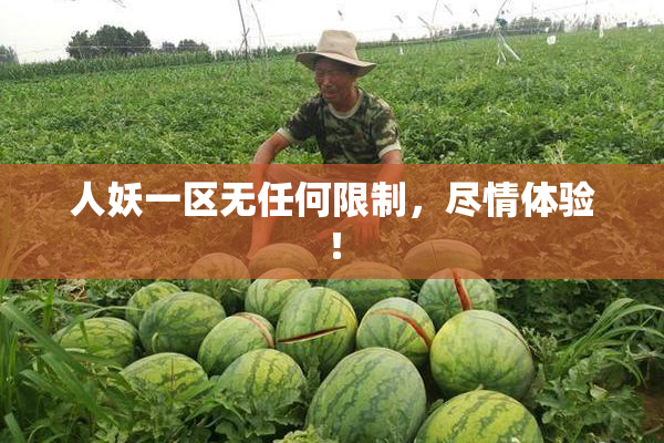 人妖一区无任何限制，尽情体验！