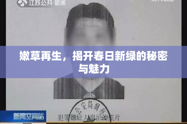 嫩草再生，揭开春日新绿的秘密与魅力