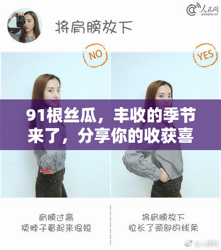 91根丝瓜，丰收的季节来了，分享你的收获喜悦！