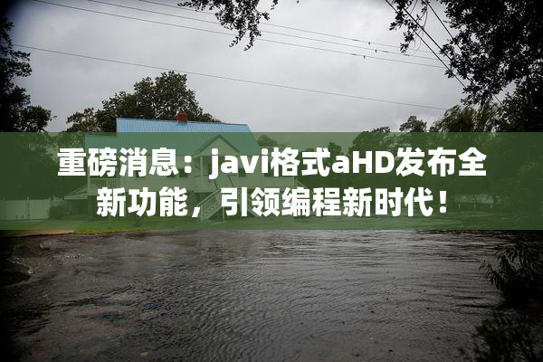 重磅消息：javi格式aHD发布全新功能，引领编程新时代！