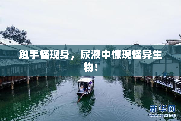 触手怪现身，尿液中惊现怪异生物！