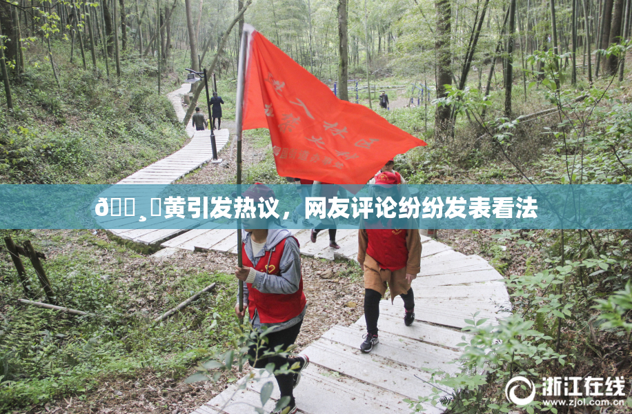 🌸‌黄引发热议，网友评论纷纷发表看法