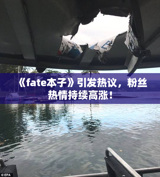 《fate本子》引发热议，粉丝热情持续高涨！