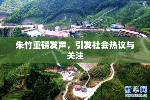 朱竹重磅发声，引发社会热议与关注