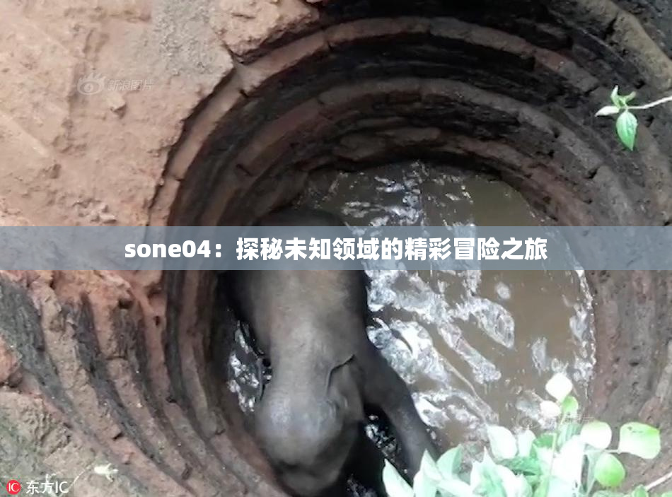 sone04：探秘未知领域的精彩冒险之旅