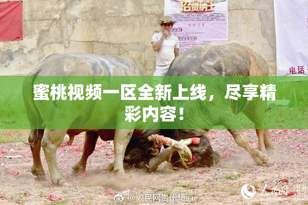 蜜桃视频一区全新上线，尽享精彩内容！
