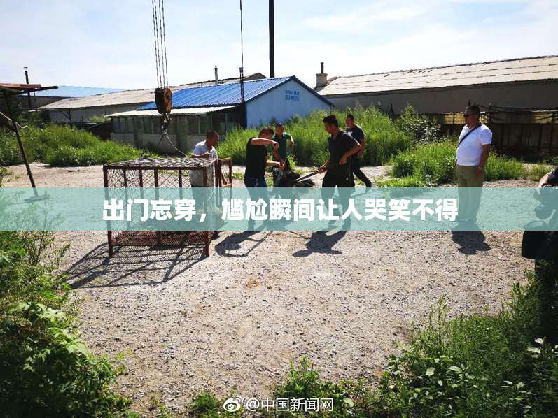出门忘穿，尴尬瞬间让人哭笑不得