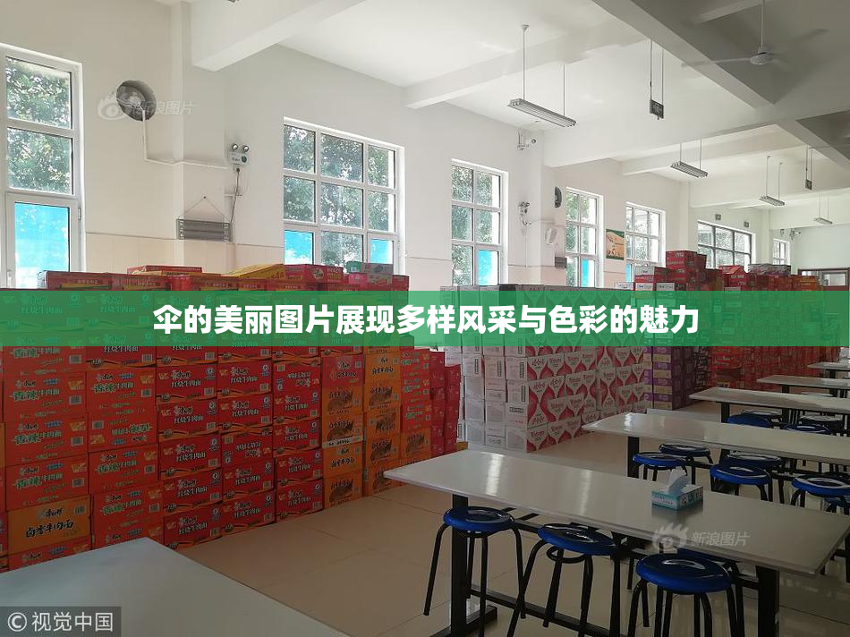 伞的美丽图片展现多样风采与色彩的魅力