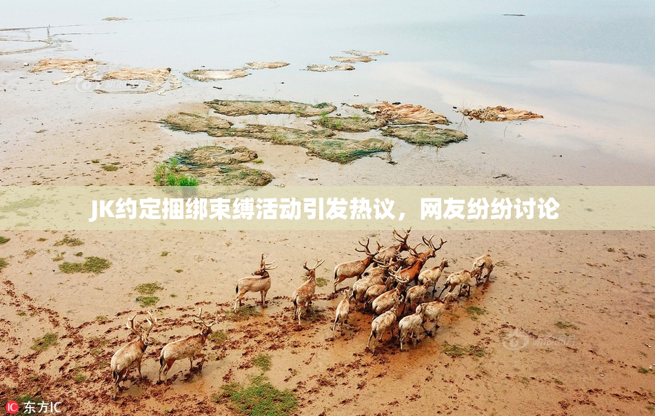 JK约定捆绑束缚活动引发热议，网友纷纷讨论