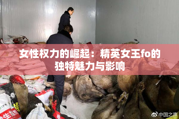 女性权力的崛起：精英女王fo的独特魅力与影响