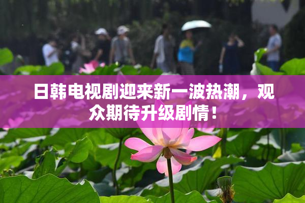 日韩电视剧迎来新一波热潮，观众期待升级剧情！