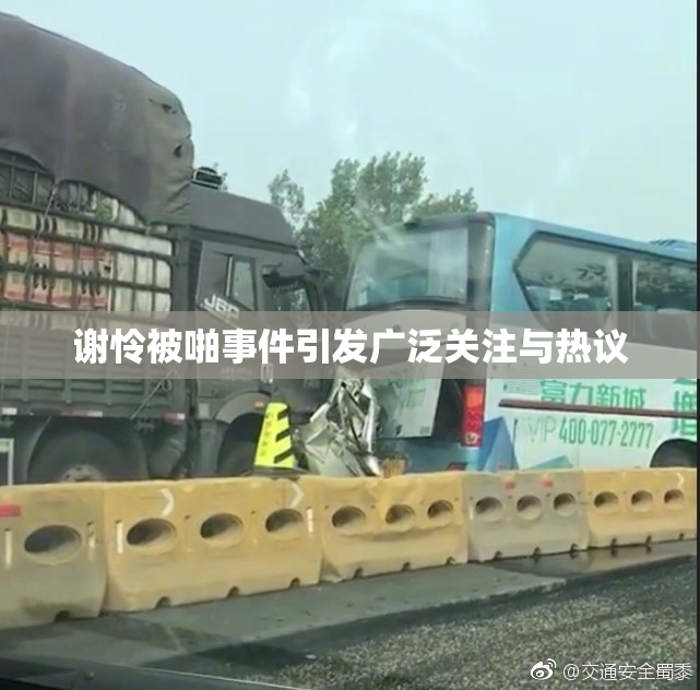 谢怜被啪事件引发广泛关注与热议