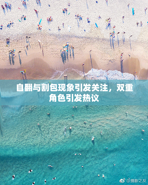 自翻与割包现象引发关注，双重角色引发热议